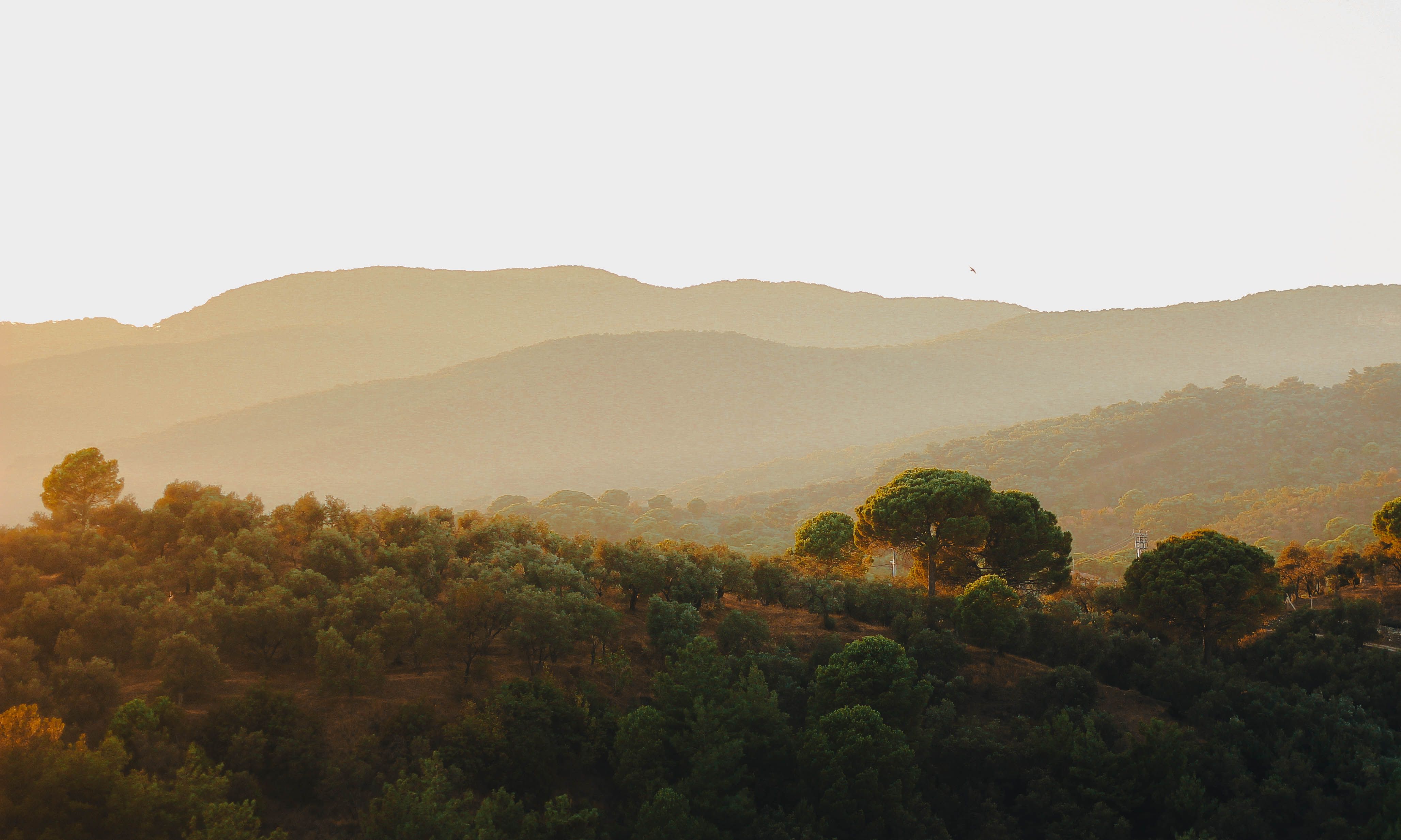 Natureza